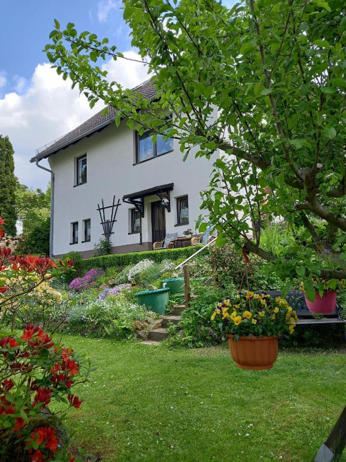 Ferienwohnung Am Steinbachtal Thale Εξωτερικό φωτογραφία
