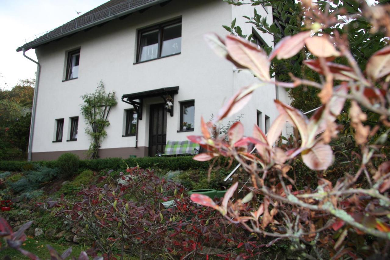 Ferienwohnung Am Steinbachtal Thale Εξωτερικό φωτογραφία
